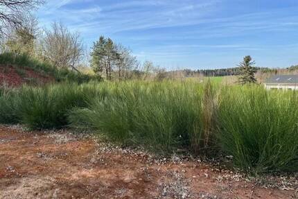 Grundstück für EFH mit 2 Vollgeschossen in Burgthann-Grub