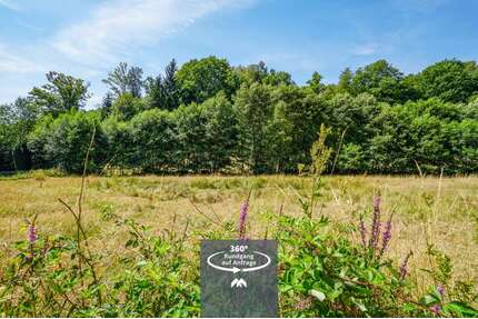 Grundstück zu verkaufen in Wald-Michelbach 55.000,00 € 878 m²