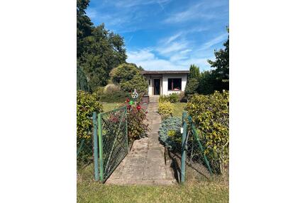 Pachtgarten Ströbitzer Badesee *bitte nur aus näherer Umgebung* - Drebkau