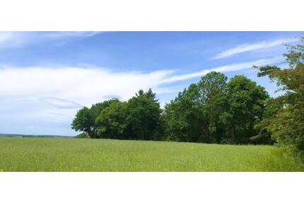 Bebautes Gartengrundstück mit Blick zur Burg Schönfels in völliger Alleinlage. - Lichtentanne