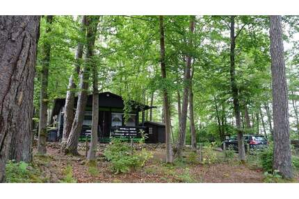 Ferienhaus in waldreicher Höhenlage - Blankenheim Ahrdorf