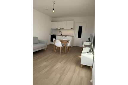 Wohnung zum Mieten in Nürnberg 690,00 € 44 m²