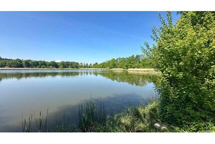 Pferdehaltung? Bauernhaus mit Scheune, Nebengebäuden und viel Land zu verkaufen! - Attenweiler Gutershofen