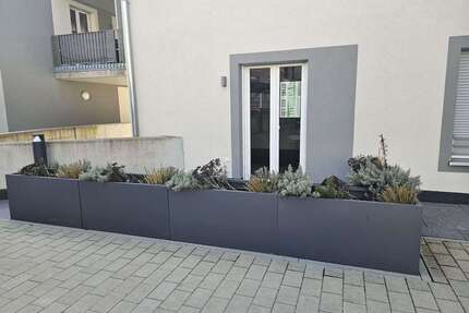 Wohnung zum Mieten in Markgröningen 1.260,00 € 100 m²