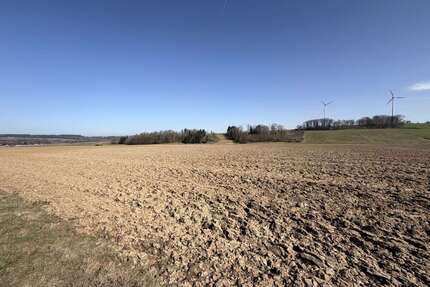 Grundstück in Reisbach Niederhausen 270.000,00 € 14201 m² - Reisbach / Niederhausen