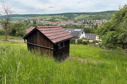 Zwei Freizeitgrundstücke in Remshalden verfügbar