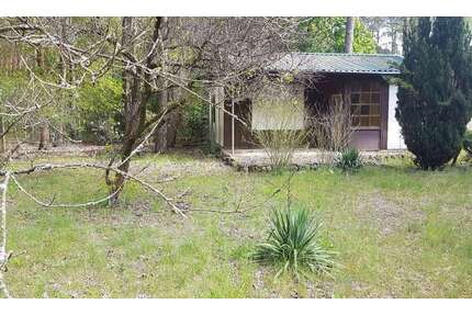 Grundstück zum Mieten in Bad Saarow 2.500,00 € 500 m²