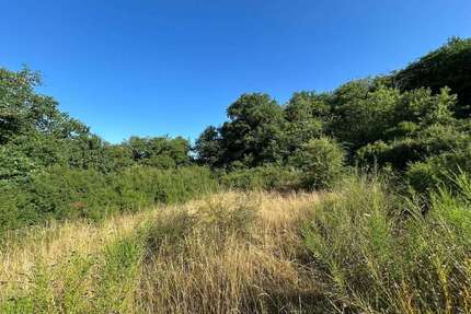 Grundstück zu verkaufen in Hahnenbach 30.000,00 € 907 m²