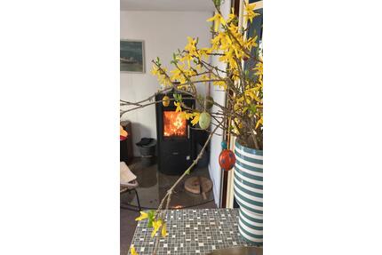 SommerhausBungalow mit Garten zu vermieten in Brandenburg - Bad Freienwalde (Oder)