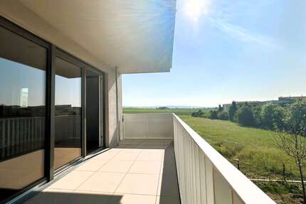 Wohnung zum Mieten in Wiesbaden 1.550,00 € 77 m²