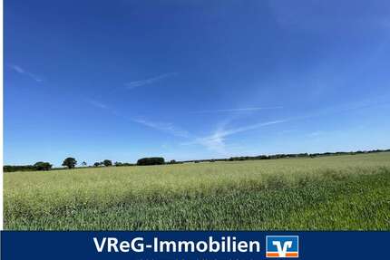 Grundstück in Rieps Cronscamp 349.600,00 € 76000 m² - Rieps / Cronscamp