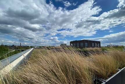 Wohnung zum Mieten in Leipzig 2.648,46 € 143.16 m²