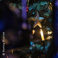 Weihnachtskonzert 2026/27 - Theater Altenburg Gera