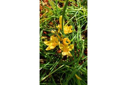 Haus zum Kaufen in Calw-Stammheim 749.000,00 € 130 m²