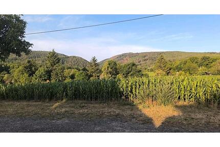 Ferienwohnung gemütlich - 40,00&nbsp;EUR Kaltmiete, ca.&nbsp; 50,00&nbsp;m&sup2; in Saalfeld (Saale) (PLZ: 07318)