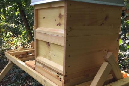 ******Imkerausrüstung, Grundstück, Bienen, Natur****** - Waldalgesheim