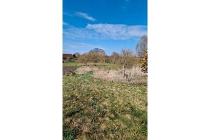 Wiese in Schweinrich - 100,00&nbsp;EUR Kaltmiete, ca.&nbsp; 0,00&nbsp;m&sup2; in Wittstock/Dosse (PLZ: 16909)