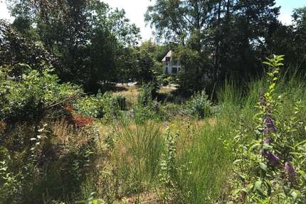 Grundstück zu verkaufen in Homburg 249.000,00 € 1048 m²