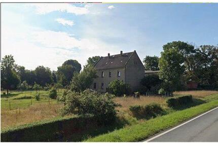 Historisches Mehrgenerationenhaus mit Garten & viel Potential - Wettin-Löbejün