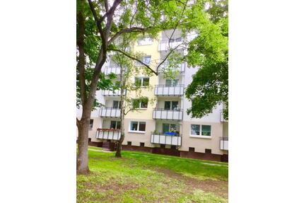 Lust auf Veränderung: 2-Zimmer-Wohnung in Stadtlage - Hannover Buchholz-Kleefeld