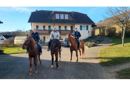 Pferdehof Bauernhof Pferdeanwesen Pferdeimmobilie im Hunsrück - Birkenfeld
