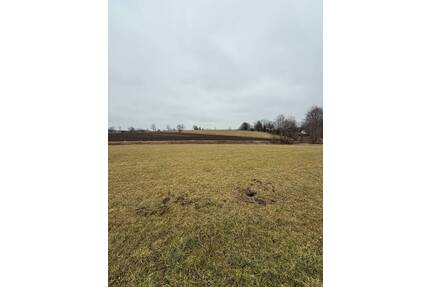 Landwirtschaftliche Nutzfläche - 80.000,00&nbsp;EUR Kaufpreis, ca.&nbsp; 0,00&nbsp;m&sup2; in Egling (PLZ: 82544) Deining