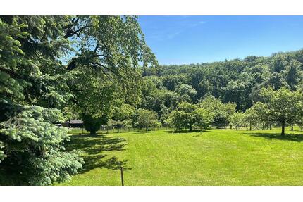 Ruhe Einliegerwohnung mit wunderschönem Ausblick zu vermieten - Stuttgart Sillenbuch