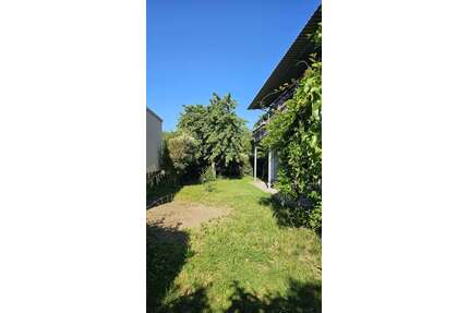 Haus zum Kaufen in Wachenheim an der Weinstraße 649.000,00 € 180 m²