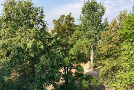 Wohnung zum Mieten in Erfurt 394,00 € 60.74 m²