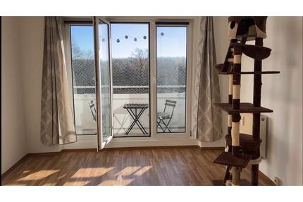 Helle 2-Zimmer-Wohnung mit Seeblick - verfügbar ab 1. Juni. - Senftenberg