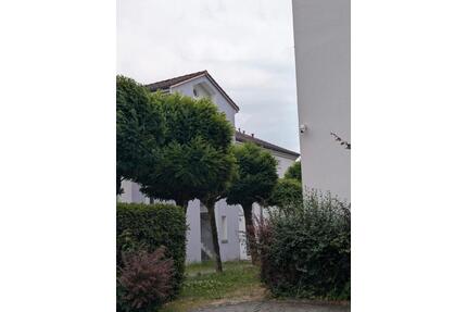 2-Zimmer-Wohnung mit Südterrasse und neuer Einbauküche - Bad Säckingen