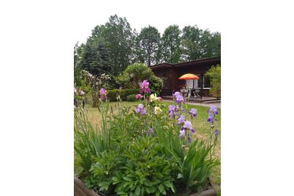 Ferienhaus in Bad Saarow - 60,00&nbsp;EUR Kaltmiete, in Bad Saarow (PLZ: 15526)