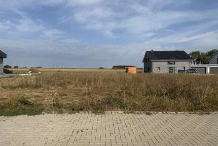 Haus zum Kaufen in Querenhorst 346.000,00 € 166 m²