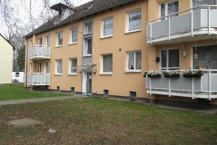 Zum Einzug frisch saniert und renoviert 3-Zimmer-EG-Wohnung mit Balkon - Waldrandlage - Duisburg Duisburg-Mitte