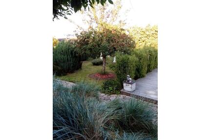 Modernes Loft mit Garten in Rohlstorf