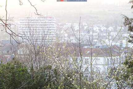 Grundstück zu verkaufen in Lörrach 1.600.000,00 € 3010 m²