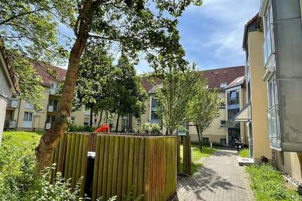 Wohnung zum Mieten in Dresden 337,85 € 35 m²