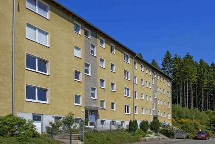 Wohnung zum Mieten in Plettenberg 349,00 € 51.85 m²
