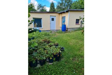 Garten zu Verpachten - 2.500,00&nbsp;EUR Kaltmiete, ca.&nbsp; 0,00&nbsp;m&sup2; in Eisenach (PLZ: 99817)