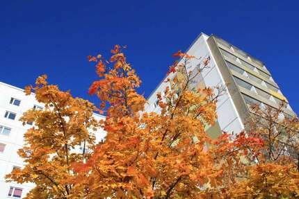 Wohnung zum Mieten in Hoyerswerda 287,00 € 51.42 m²