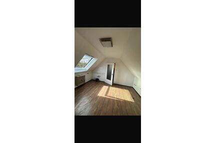 Gemütliches 1-Zimmer-Apartment mit neuer Küche – Dodesheide - Osnabrück