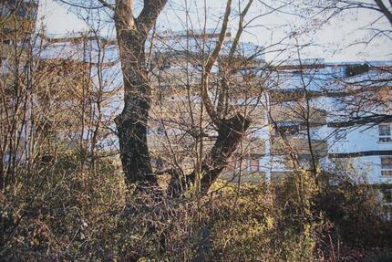 3-Zi-Wohnung in Müllheim Baden - 750,00&nbsp;EUR Kaltmiete, ca.&nbsp; 63,00&nbsp;m&sup2; in Müllheim (PLZ: 79379)