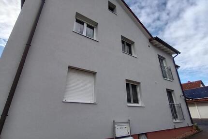 Renovierte 3-Zimmer-EG-Wohnung (85 m²) – inkl. Gartennutzung - Alzenau