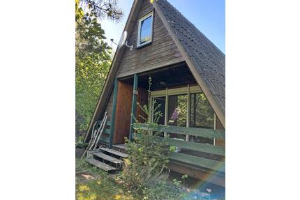 Ferienhaus im Feriendorf Eichwald - Albersweiler