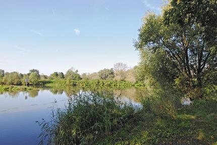 Naturnah Wohnen im Erdgeschoss - 301,00&nbsp;EUR Kaltmiete, ca.&nbsp; 48,51&nbsp;m&sup2; in Halle (Saale) (PLZ: 06132) Silberhöhe
