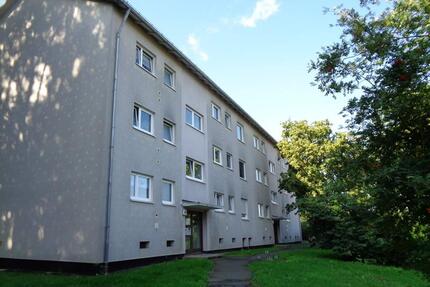 Ansprechende 4-Zimmer-Wohnung in guter Wohnlage - Kassel Bettenhausen