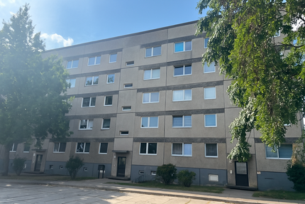 Wohnung zum Mieten in Zielitz 370,00 € 54.8 m²