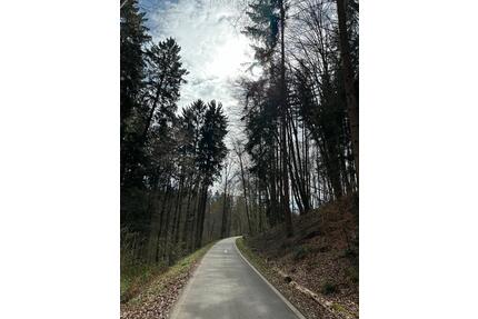4- Zimmerwohnung zu vermieten (Leinfelden-Echterdingen)