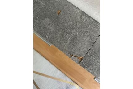 Wohnzimmer,schränke - 60,00&nbsp;EUR Kaltmiete, ca.&nbsp; 4,00&nbsp;m&sup2; in Nürnberg (PLZ: 90459) Rabus