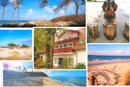 Ferienwohnung Fewo Prerow Hund erlaubt nah am Strand und Wald